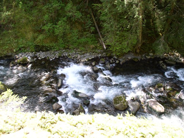 5.5.06 Eagle Creek 082 